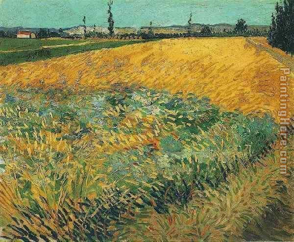 Wheat Field with the Alpilles Foothills in the Background painting - Vincent van Gogh Wheat Field with the Alpilles Foothills in the Background art painting